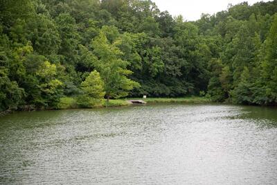 0 Turkey Creek Boat Dock Rd