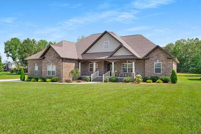 667 Pete Sain Rd