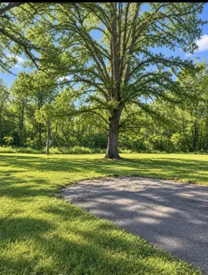 148 Mullican Rd