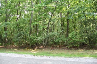 0 Chestnut Hollow Trail