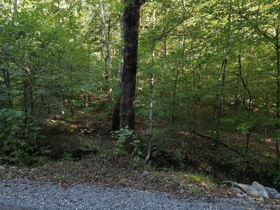1 Cave Branch Rd