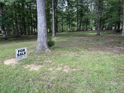 221 Blackberry Farm Rd