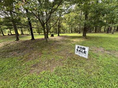 206 Blackberry Farm Rd