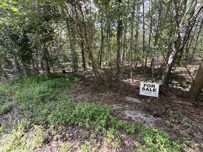205 Blackberry Farm Rd