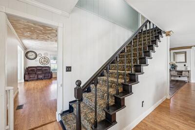 296 Penile Dr
