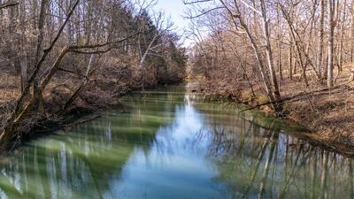 1545 Blue Springs Rd