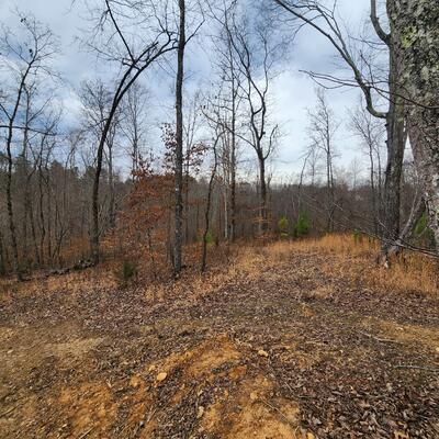 584 Back Bone Rd
