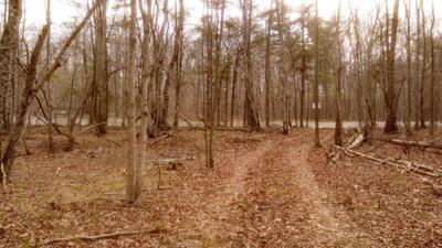 1188 Timberwood Trce