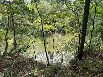 0 Hidden River Rd