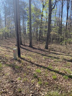 362 Haynes Rd