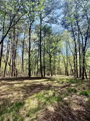 0 Timberwood Trace