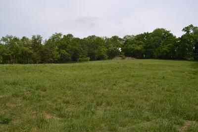 0 Gattistown Rd