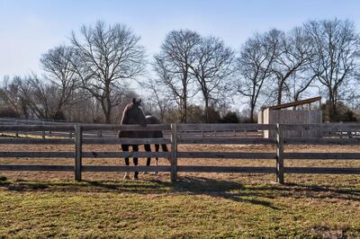 441 Matts Hollow Rd