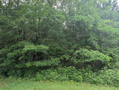 171 Echols Rd