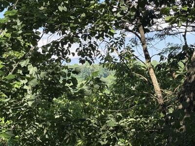 214 Middle Ridge Road