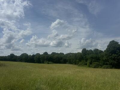 210 Wheel Rd