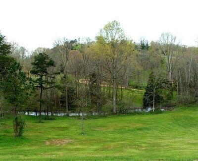 53035307 Bear Creek Road