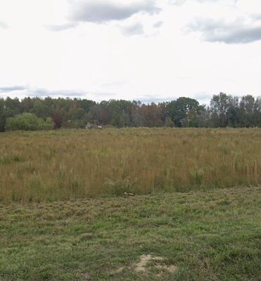 0 Old Shelbyville Hwy