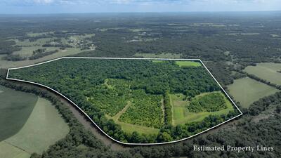 498 Rattlesnake Lodge Rd