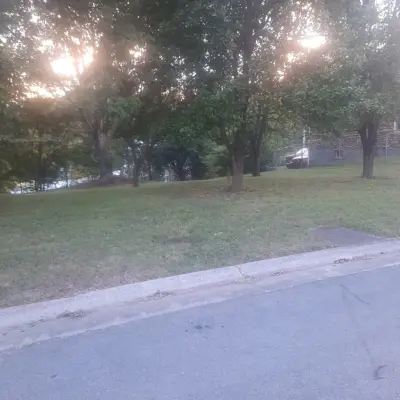0 Bluff St